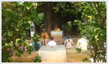 bhogar thavasolai