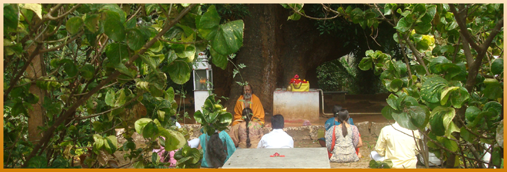 bhogar thavasolai