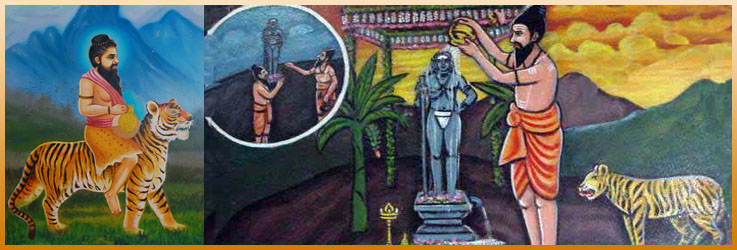 pulippani siddhar