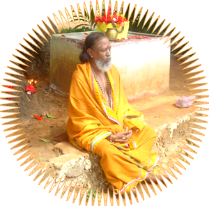 sidhar pulippani logo