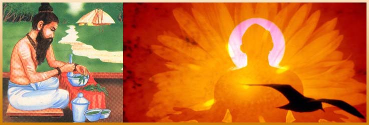 who are siddha