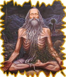 sidhar pulippani logo